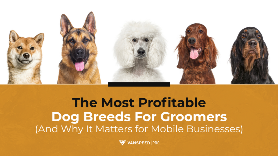 The Most Profitable Dog Breeds for Groomers (And Why It Matters for Mobile Businesses)