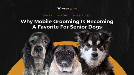 When Comfort Comes First: Why Mobile Grooming Is Becoming a Favorite for Senior Dogs